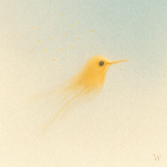 Colibri