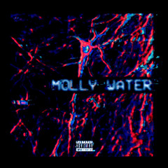 MOLLY WATER (PITCHED)