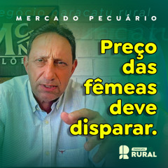 Mercado do boi: preço das fêmeas deve disparar; recorde de abates limita matrizes p/ bezerros em 26