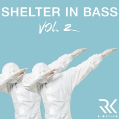 Shelter In Bass Vol. 2