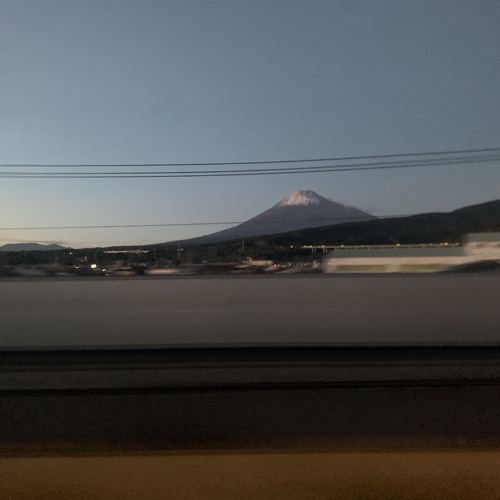 Optimistic traveler clamdowned ver