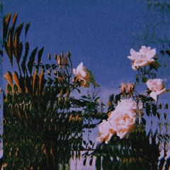 meadows