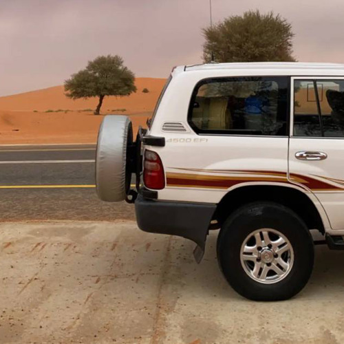 دنيا دنيّيه لعنبوهاا : ابو عسكر