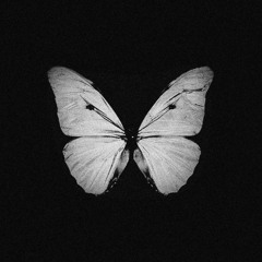 fell. (ft. Duncan Trussel)