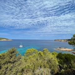 SUNDAY MORNING | HOME