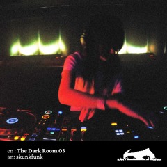 The Dark Room 03: Skunkfunk