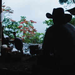 Charla con Alexander Rojas agricultor de cacao