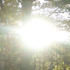 M.W.O.Y. (#Old productions that won't see the light of day)