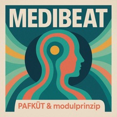 Medibeat - PAFKÜT & modulprinzip