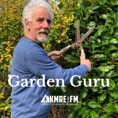 Food Seeds Flowers Critters and Foragers: Garden Guru Ep52