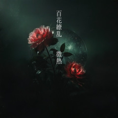 百花繚乱 / 微熱