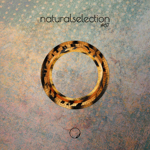 Episodio 67 - Natural Selection