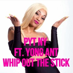 PYT NY - Whip Out The Stick