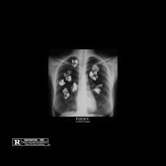 Petrose x Prodbyzareb "FUCKY"