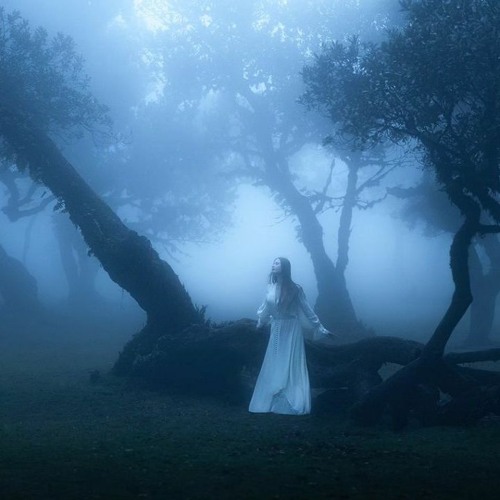 Whispers of Twilight's End