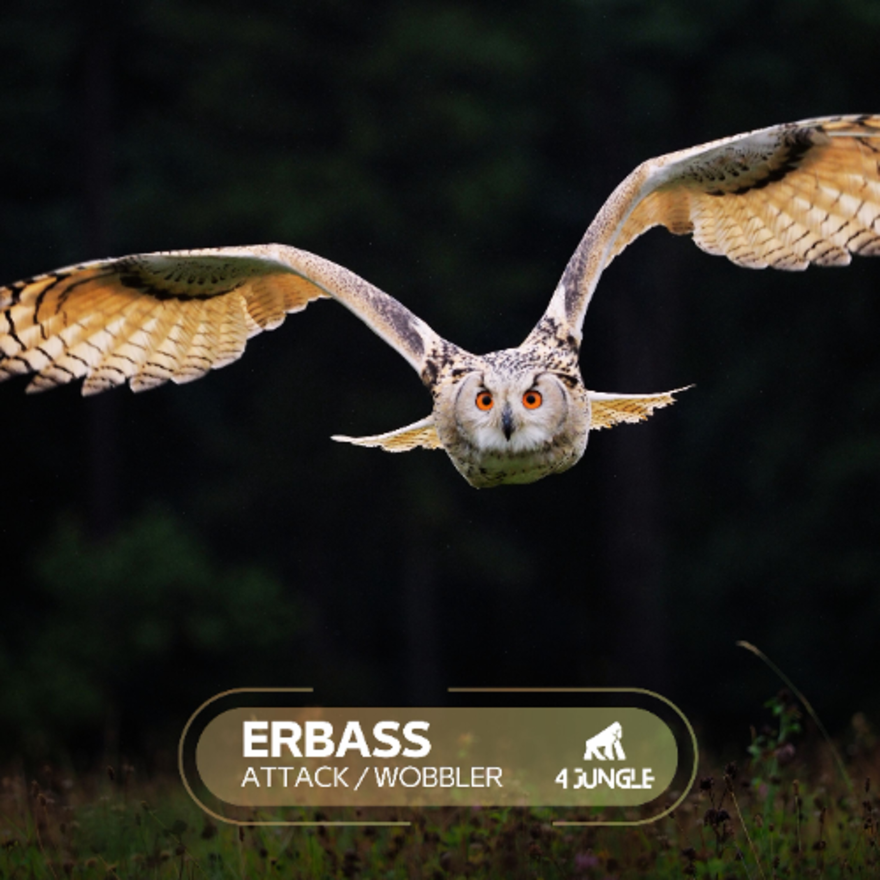 Erbass - Attack episode artwork