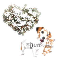 wanted u  (prod. MORECALCIUM)