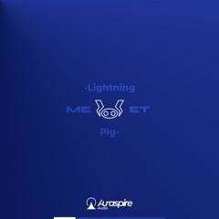 Meet -LightningPig