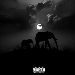 SLON (Remix)