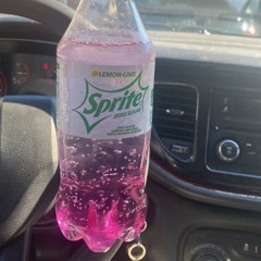 2CUPTWIN (plxyboymal)