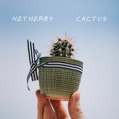 Netherby - Cactus