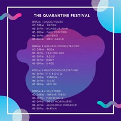Birdy - The Quarantine Festival 04