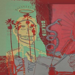 wet hot american bummer