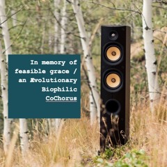 In Memory of Feasible Grace | Ævolutionary Equinox CoChorus | 092124