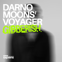 DARNO & Moon's Voyager - Gibberish (SUSA012)