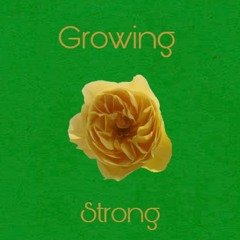 The Tale Of A Golden Rose (Growing Strong)