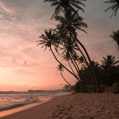 BAY TRÊN ĐƯỜNG