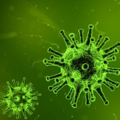 [prod.Laykz] "Coronavirus" Makemoola