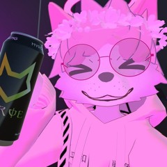 Snu phonk 2.mp3