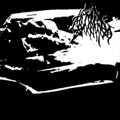 Tritrichomonas foetus