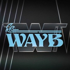 SDGF - Team WayB - Public Evaluation