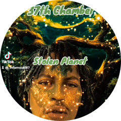 37th Chamber Stolen Planet Finale