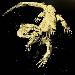 Mr President - The Blue Newts Cover
