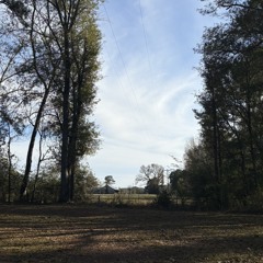 601 boy / Rae Sremmurd