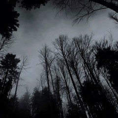 Destruction w/Hqwer1zmane!