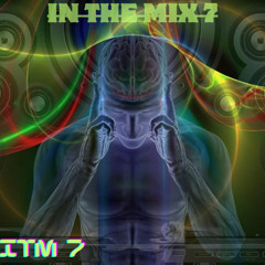 IN THE MIX 7
