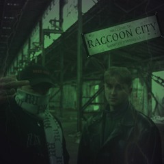 DMCG B2B Stevyl [RACCOONCITY]