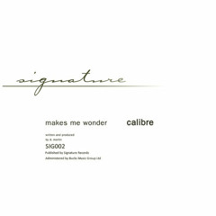 Calibre - Makes Me Wonder