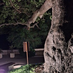 Roadless Area of Župa 10