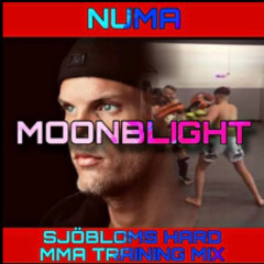 NUMA - Moonblight (Sjöbloms Hard MMA Training Mix)