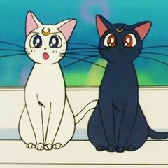 catz