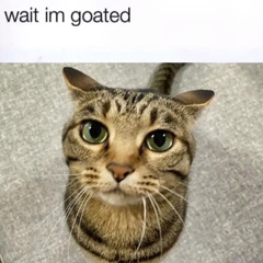 durrhhh