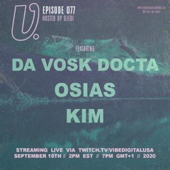 VibeDigital fest