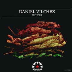 Daniel Vilchez - Synth Crazy (Original Mix)