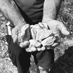 Steinos Heinhagen - Lied