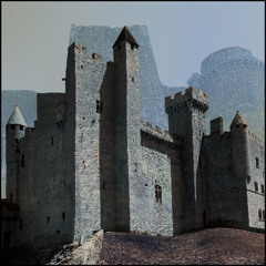 IN THE MIDDLE AGES
